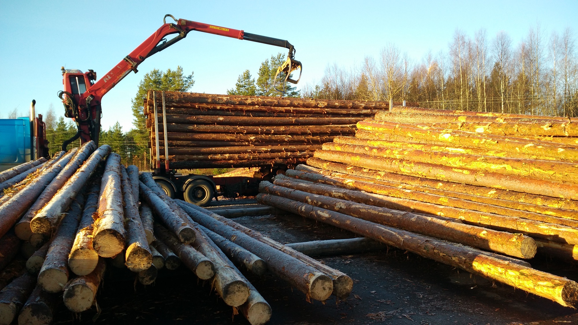 Pali di legno per illuminazione pubblica - CR Technology Systems