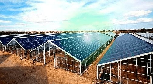 photovoltaic greenhouse